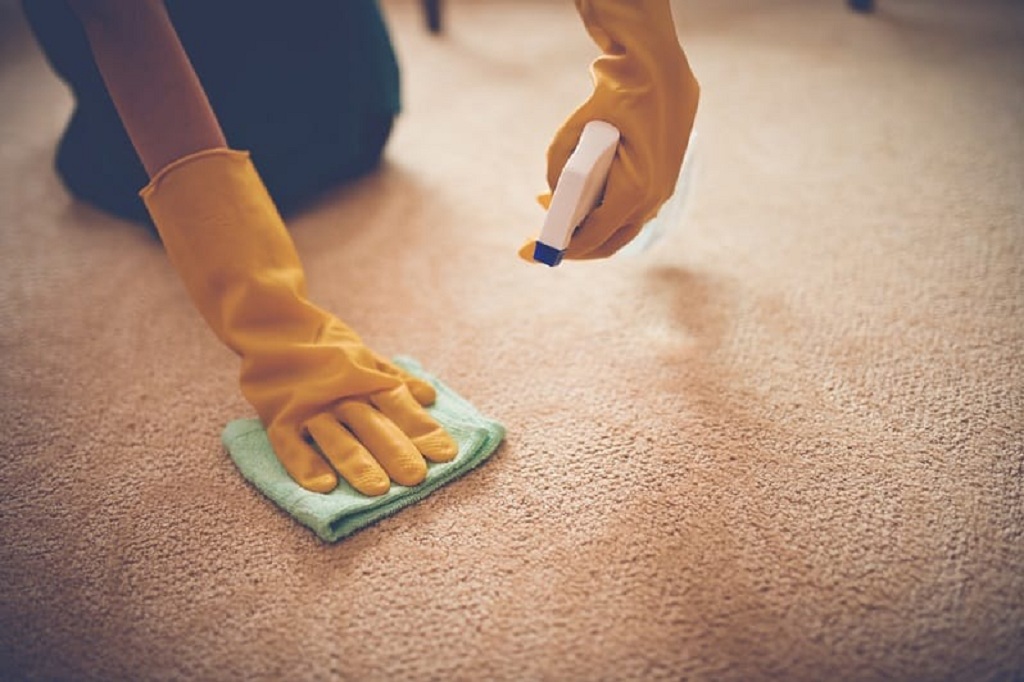 Carpet Cleaning Advantage The High Quality Service With Best Choice Of Price